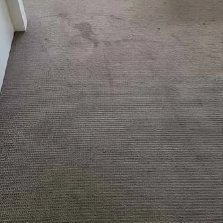 Dirty carpet with stains
