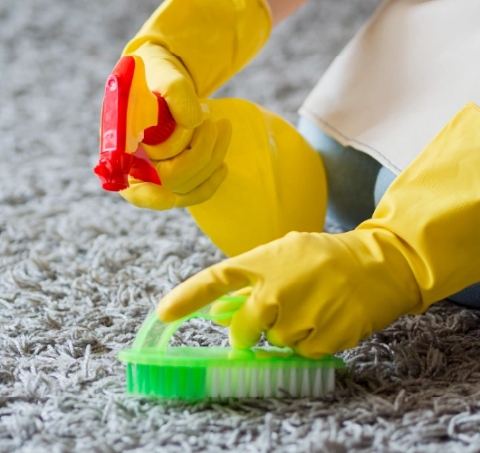 Spray and brush treatment