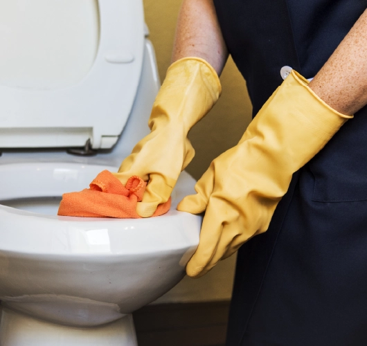 Deep bathroom cleaning checklist