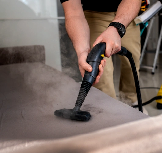 Professional steam cleaning service